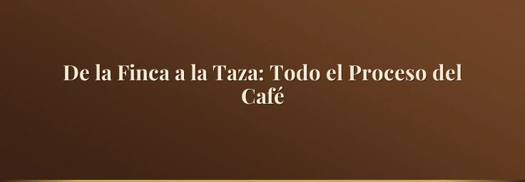 De la Finca a la Taza: Todo el Proceso del Café