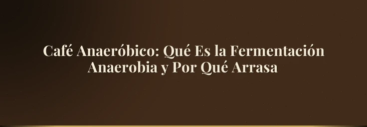 Café Anaeróbico: Qué Es la Fermentación Anaerobia y Por Qué Arrasa