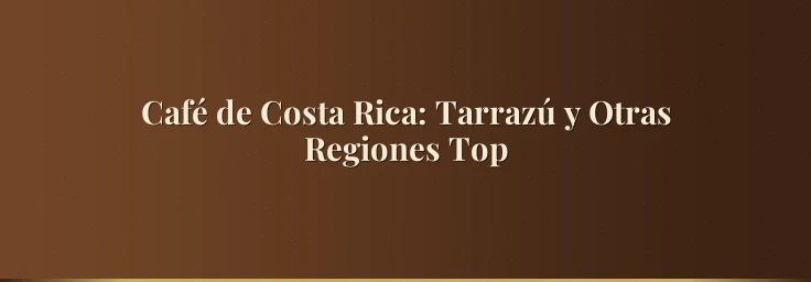Café de Costa Rica: Tarrazú y Otras Regiones Top