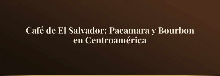 Café de El Salvador: Pacamara y Bourbon en Centroamérica