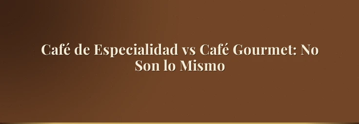 Café de Especialidad vs Café Gourmet: No Son lo Mismo