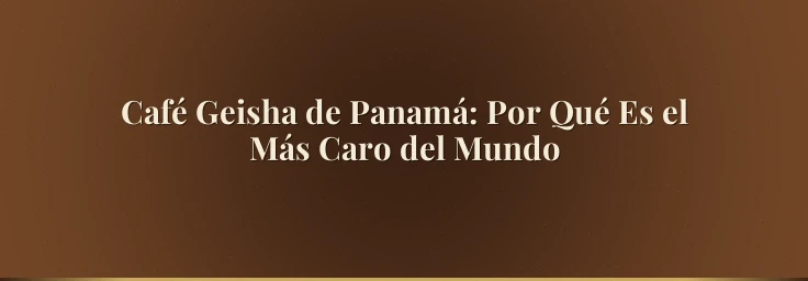 Café Geisha de Panamá: Por Qué Es el Más Caro del Mundo