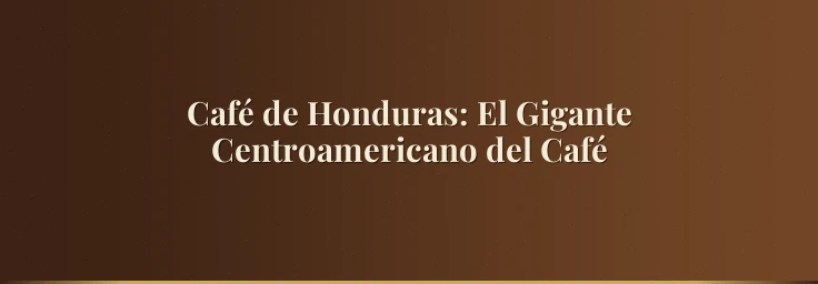 Café de Honduras: El Gigante Centroamericano del Café