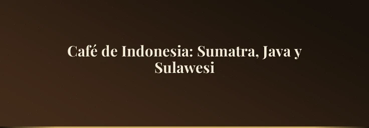 Café de Indonesia: Sumatra, Java y Sulawesi