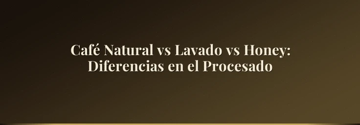 Café Natural vs Lavado vs Honey: Diferencias en el Procesado