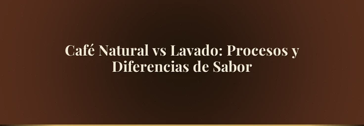 Café Natural vs Lavado: Procesos y Diferencias de Sabor