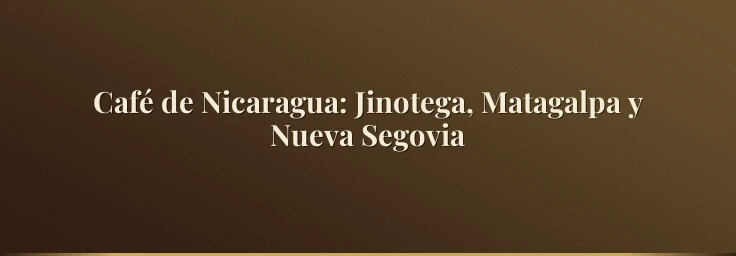 Café de Nicaragua: Jinotega, Matagalpa y Nueva Segovia