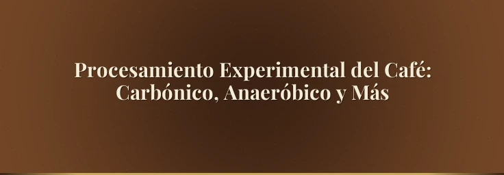 Procesamiento Experimental del Café: Carbónico, Anaeróbico y Más