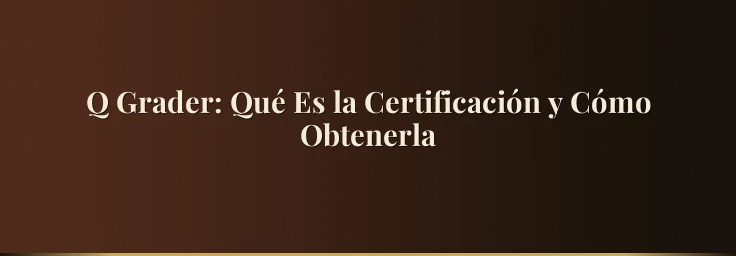 Q Grader: Qué Es la Certificación y Cómo Obtenerla