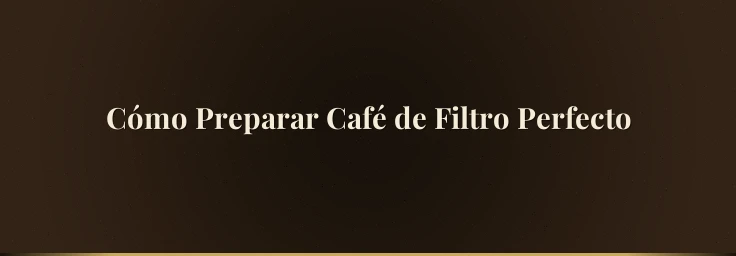 Cómo Preparar Café de Filtro Perfecto