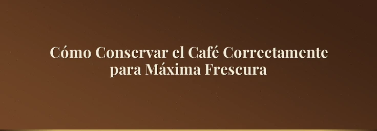 Cómo Conservar el Café Correctamente para Máxima Frescura