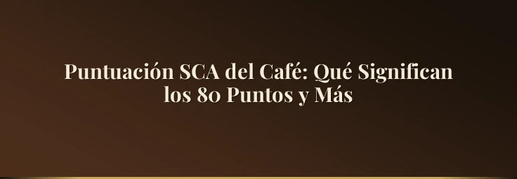 Puntuación SCA del Café: Qué Significan los 80 Puntos y Más